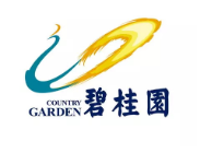 岳西碧桂园地产